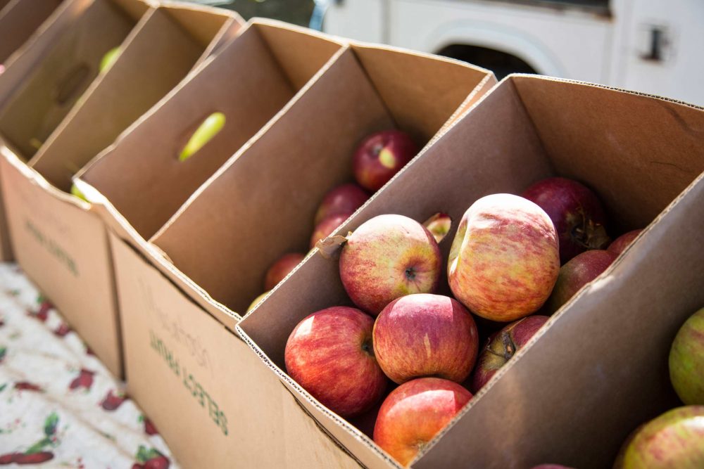 Fresh apples at Schoolyard Market